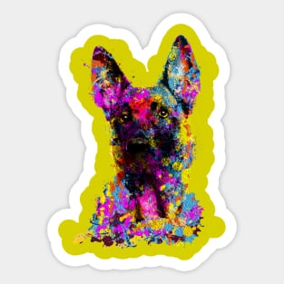 Malinois puppy  - Belgian shepherd - Mechelaar Sticker